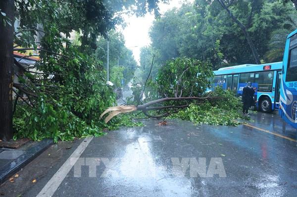 Những hình ảnh đầu tiên về sự ảnh hưởng của bão số 3 Yagi tại Hà Nội