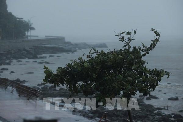 Hình ảnh bão số 3 đang áp sát đất liền
