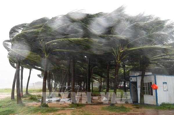 Trung Quốc: Siêu bão Yagi đổ bộ lần thứ hai, gần 1 triệu người di dời