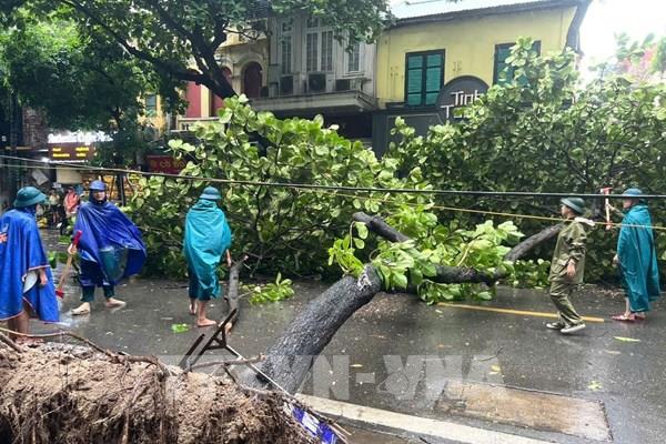 EVNHANOI phòng chống bão 4 tại chỗ