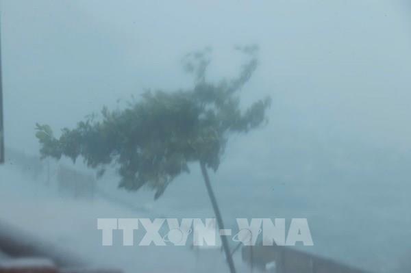 Hình ảnh mới nhất bão số 3 Yagi đổ bộ đất liền
