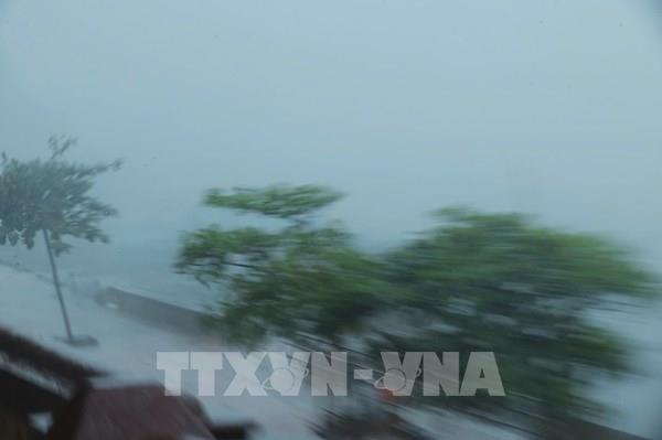 Không tổ chức trận đấu giữa Thái Lan và Nga tối 7/9 do ảnh hưởng của bão số 3