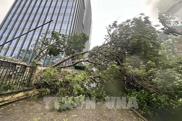 Bão số 3: Nhiều doanh nghiệp Thủ đô cho người lao động nghỉ làm để đảm bảo an toàn