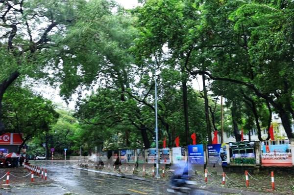 Hà Nội tăng mảng xanh tại một loạt công trình đô thị