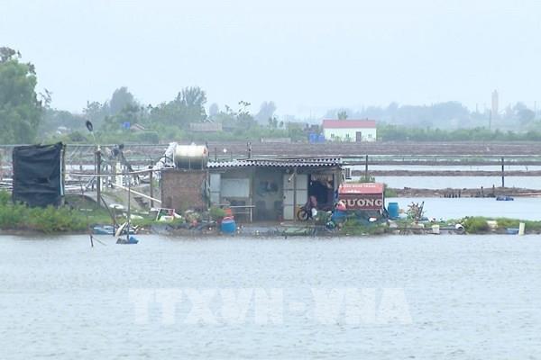 Bão số 3 Yagi: Vùng ven biển Ninh Bình gió giật mạnh, sóng biển cao 2-3 mét
