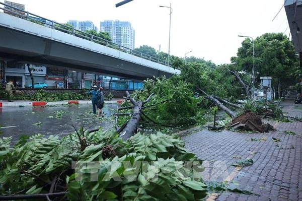 Chiều tối 7/9, khu vực nội đô Hà Nội gió tăng lên cấp 8, giật cấp 10