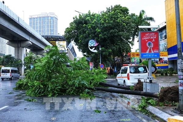 Đường phố Hà Nội ngổn ngang do ảnh hưởng của bão số 3