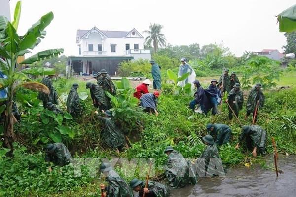 Trên 20.000 ha lúa, rau màu bị gãy đổ do bão số 3