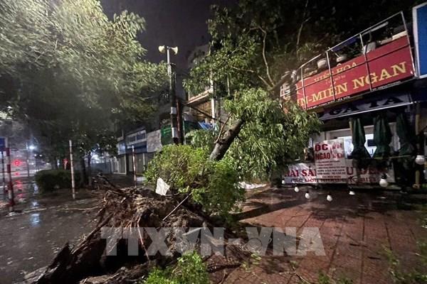 Bão số 3 đổ bộ vào Hà Nội, mưa lớn kèm gió giật mạnh