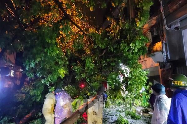 Hà Nội có hàng nghìn ha lúa, hoa màu bị đổ, thiệt hại do bão số 3