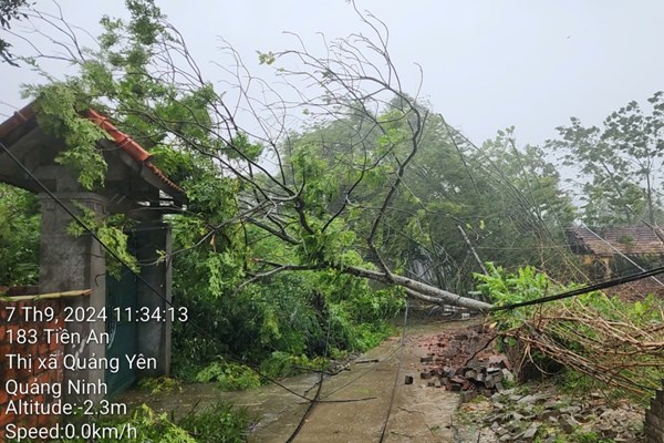 Những hình ảnh thiệt hại của hệ thống điện do ảnh hưởng bão Yagi