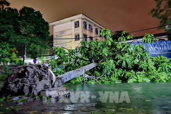 Thời tiết ngày 8/9: Bão số 3 suy yếu thành áp thấp nhiệt đới, cảnh báo mưa rất to