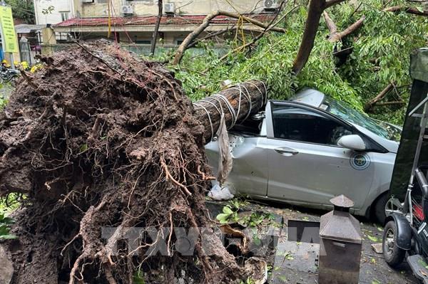 Cơ quan khí tượng cảnh báo, áp thấp nhiệt đới có thể gây mưa to đến rất to