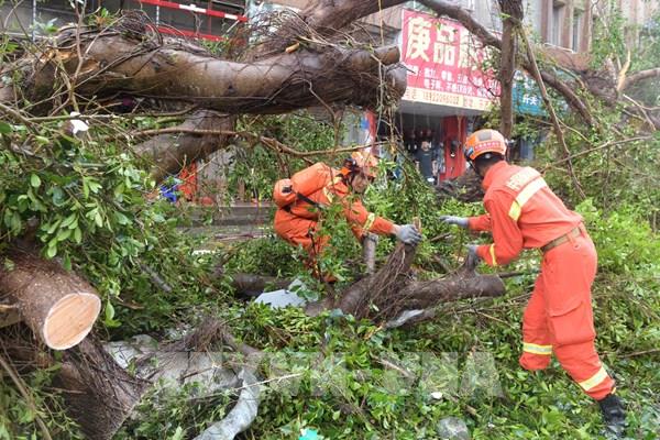 Trung Quốc huy động mọi nguồn lực khắc phục hậu quả của siêu bão Yagi