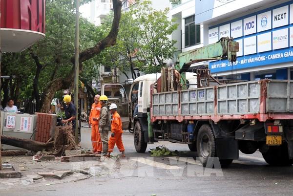 Khắc phục ảnh hưởng bão số 3: Điện lực Thái Bình sớm cấp điện trở lại