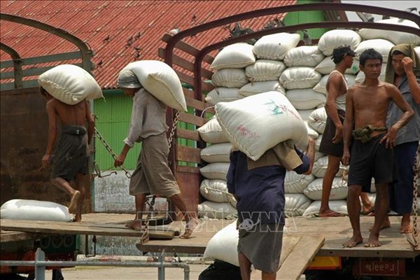 Nhu cầu nhập khẩu gạo từ Philippines tăng mạnh