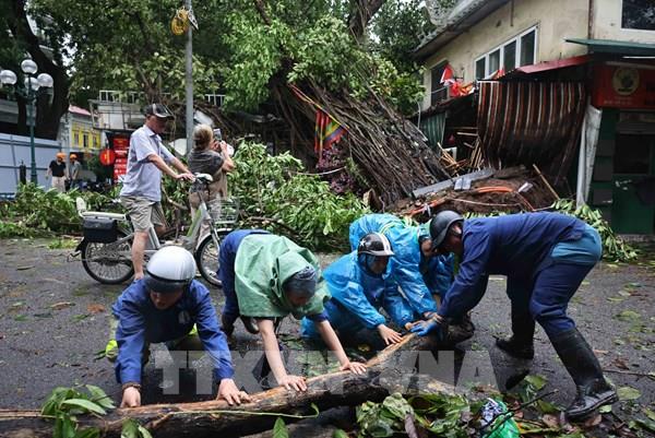 Khuyến cáo những việc cần làm sau bão