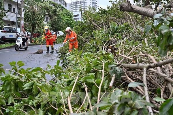 Yagi là siêu bão mùa Thu mạnh nhất trong 75 năm qua tại Trung Quốc