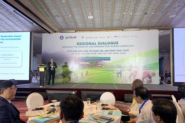 Giải pháp nào ứng phó với thách thức trong phát triển chuỗi giá trị lúa gạo?