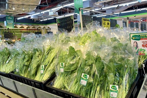 Cao nguyên Mộc Châu đẩy mạnh sản xuất rau hữu cơ hướng tới xuất khẩu