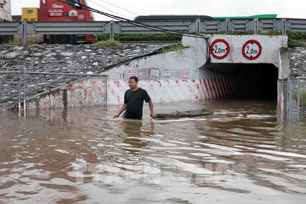Nghiên cứu nâng nền cao tốc Pháp Vân - Cầu Giẽ để chống ngập
