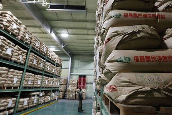 Giá gạo mới của Nhật Bản tăng cao giữa khủng hoảng thiếu hụt