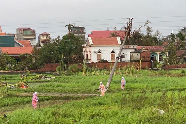 Quảng Ninh: Tạm đình chỉ chức vụ Giám đốc Điện lực Hạ Long
