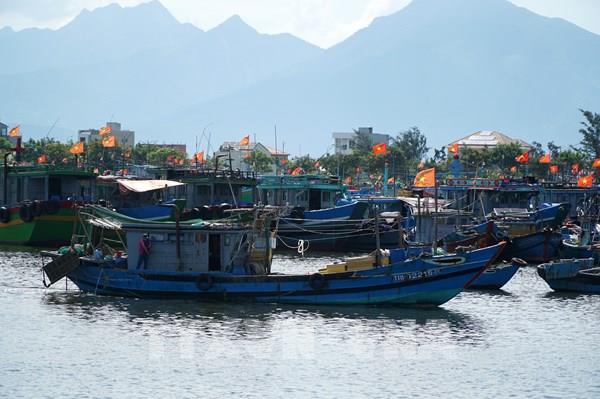 Đà Nẵng phát triển nghề cá bền vững để chống khai thác IUU