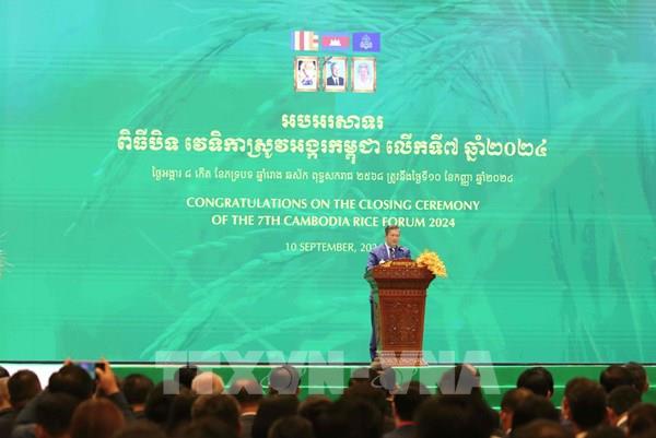 Chuỗi cung ứng lúa gạo Campuchia hướng tới khả năng chống chịu cao và bền vững