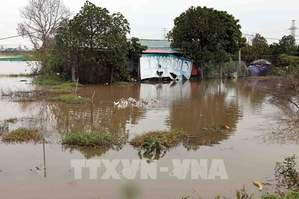 Hà Nội: Phân luồng giao thông tại các vị trí bị ngập trên đường 427 Thường Tín