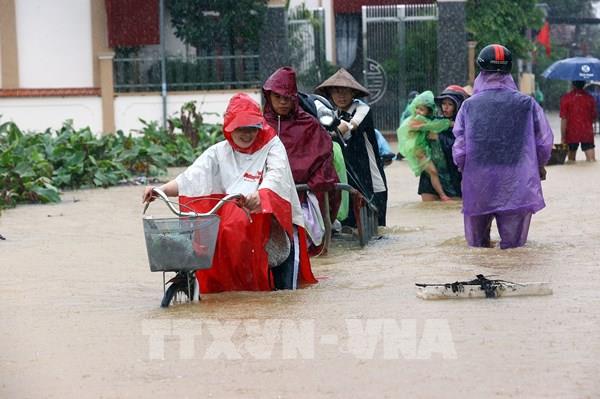 Chùm ảnh nước sông Hồng tại Hà Nội dâng cao, nhiều khu dân cư ven sông chìm trong nước