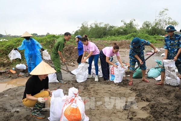 Hà Nội: Mưa lớn làm tràn bờ bao ở nhiều huyện, sẵn sàng sơ tán người dân đến nơi an toàn