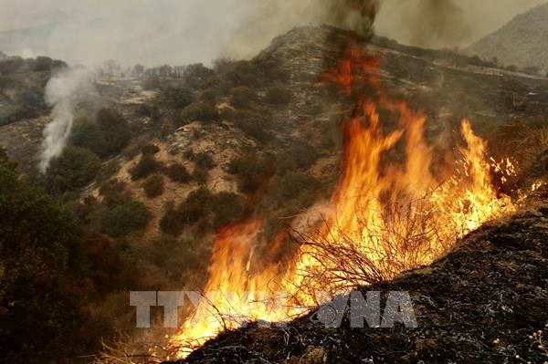 Đám cháy rừng lớn nhất tại bang California tiếp tục lan rộng không kiểm soát