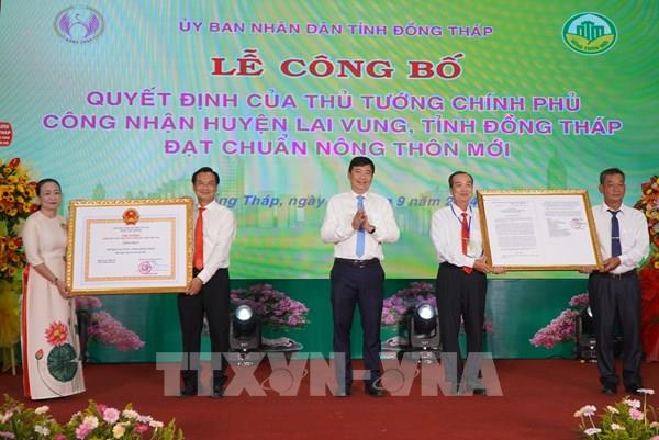 “Thủ phủ” quýt hồng Đồng Tháp đạt chuẩn huyện nông thôn mới