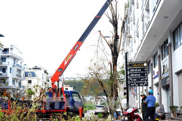 Chi trả bồi thường bảo hiểm do bão số 3 và lũ lụt gây ra ước khoảng 7.000 tỷ đồng