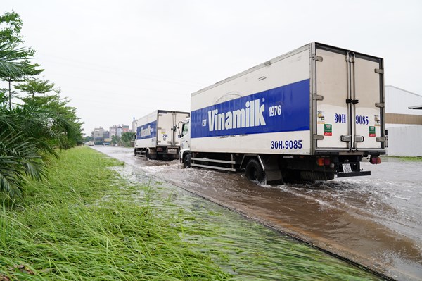 Vinamilk hỗ trợ 550.000 sản phẩm thiết yếu cho người dân vùng lũ