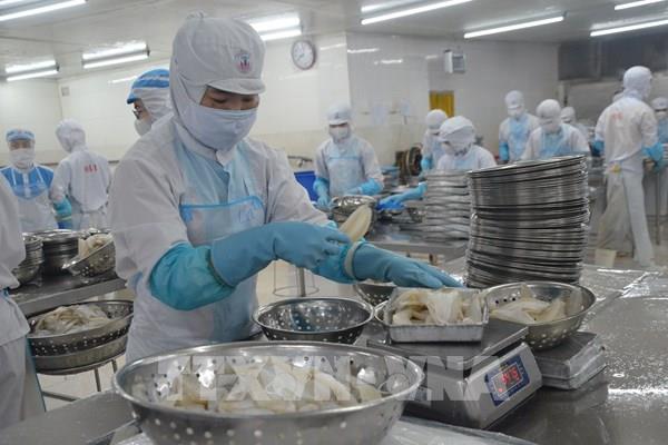 WTO đánh giá cao vai trò của Việt Nam trong chuỗi cung ứng và thương mại toàn cầu