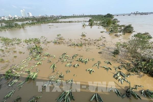 Hình ảnh mực nước sông Hồng sáng 13/9