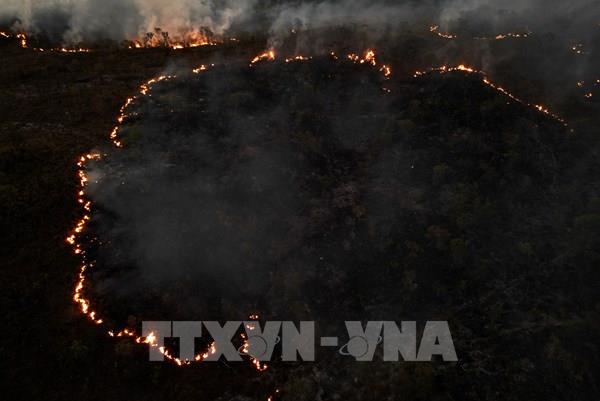Nam Mỹ chìm trong biển lửa, phá vỡ kỷ lục cháy rừng
