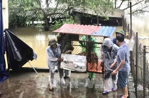 Hà Nội: Phân luồng tổ chức giao thông tại các vị trí bị ngập úng ở huyện Mỹ Đức