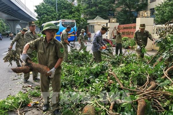 Hà Nội cơ bản giải tỏa cây xanh đổ gãy, đảm bảo giao thông thuận tiện