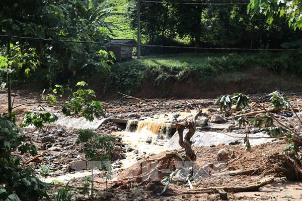 Tái thiết sau bão Yagi: Đồng hành lúc dân cần, khi dân khó