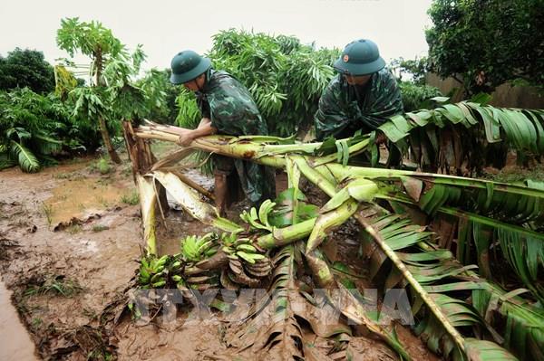 Đối tượng nào được vận động kêu gọi từ thiện?