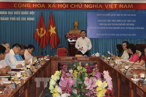 Giám sát việc thực hiện Luật Việc làm tại Thành phố Hồ Chí Minh