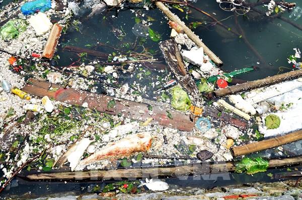 Kêu gọi 3 ngân hàng tháo gỡ khó khăn cho khách hàng bị thiệt hại do bão số 3