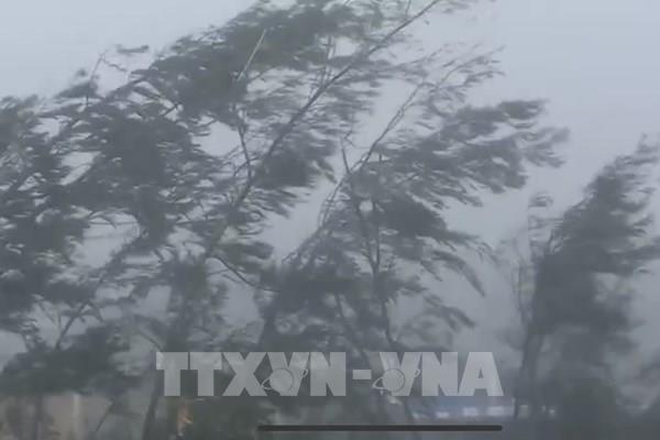 Tin áp thấp nhiệt đới gần Biển Đông