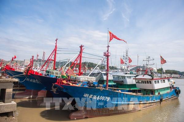 Trung Quốc ứng phó khẩn cấp với bão Bebinca