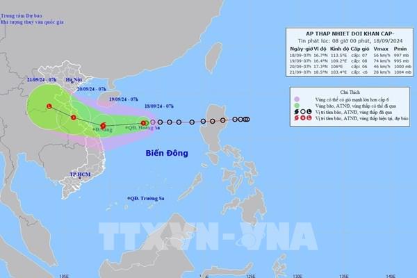 Áp thấp nhiệt đới mạnh lên thành bão trong 24 giờ tới