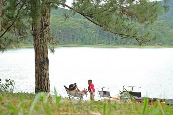 Sớm hoàn thành thủ tục để khai thác trở lại dịch vụ vận chuyển du khách tham quan trên mặt hồ Tuyền Lâm