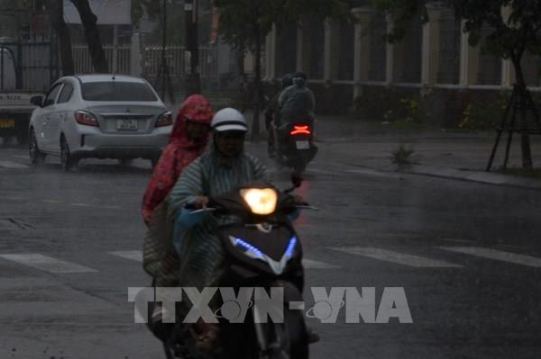 Áp thấp nhiệt đới đã mạnh lên thành bão số 4